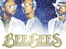 The Bee Gees - Timeless - The All-time Greatest Hits [New Vinyl LP]