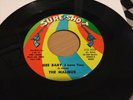 THE MALIBUS - GEE BABY ( I LOVE YOU)