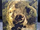Tanya Tucker - Delta Dawn - Vintage 12