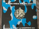 WILLIAM ORBIT - WATER FROM A VINE LEAF 12