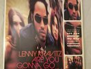 Lenny Kravitz - Are You Gonna Go My Way - CLEAR Vinyl LP Record 1993 NO CD - EX