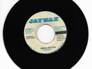 SHEILA HYLTON - FALLING IN LOVE // SHELIA HYLTON VERSION [ JAYWAX ] [ FEB120 ]