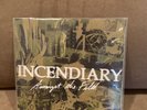 Incendiary Amongst The Filth Blue Vinyl 7” With CD INDECISION BACKTRACK LIHC VOD