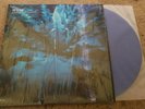 HUM DOWNWARD IS HEAVENWARD 2XLP BLUE 2019 REPRESS SLINT DEFTONES NIRVANA  JAWBOX