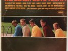 The Beach Boys - Today  - 1965 - Vinyl Record LP - MONO COPY