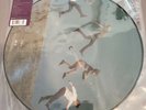 Imagine Dragons Night Visions Record Store Day 2014 Picture Disc New LP RSD VER.