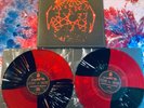 King Gizzard - 