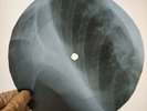 BLACK SABBATH SLEEPING WILLAGE X-Ray USSR Record Roentgen Bones Ribs Music Vinyl