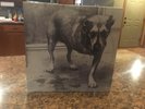 Alice In Chains vinyl record LP