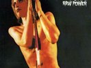 THE STOOGES / IGGY POP - RAW POWER *BRAND NEW DOUBLE LP VINYL