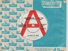 The Rivingtons The Bird's The Word U.K Promo/Demo 7