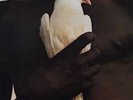 Santana's Greatest Hits by Santana Vinyl, LP, Compilation,  180G