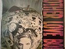 Mother Love Bone Vinyl Record LP Pearl Jam 180g New/unsealed Nirvana Soundgarden