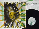 ZIGGY MARLEY CONSCIOUS PARTY VIRGIN VJL-28051 Japan OBI VINYL LP