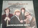 The rock sects in vinyl down liners sect
