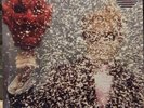 TY SEGALL /Self Titled LP White & Coke Bottle Green Vinyl Limited to 200 MINT