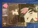 Grimes Miss Anthropocene PINK VINYL Album NEW Exclusive Poster Sealed Elon Musk