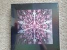 BLACKPINK The Album Limited Edition Vinyl Boxset UNOPENED