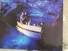 echo and the bunnymen ocean rain Vinyl