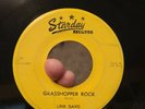 Starday 45-242 Link Davis - Grasshopper Rock / Sixteen Chicks Rockabilly 7