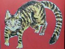Yasuaki Shimizu Kakashi Analog Records Lp