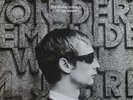 Divine Comedy - Fin de Siecle (Reissue) - LP Vinyl - NEW