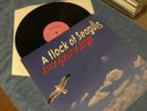 A Flock Of Seagulls LP Space Age Love Songs Ltd Lilith Press Rare New Wave