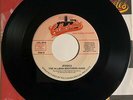 Allman Brothers Band / Jessica & Ramblin' Man / 45rpm / NM