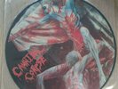 CANNIBAL CORPSE-PUT THEM TO DEATH/PICTURE DISC/ORIGINAL 1993/SELTEN/RARITÄT 