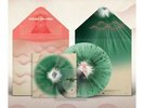 Gruff Rhys - Seeking New Gods Dinked Coloured Vinyl + Flexi Disc + SIGNED Print