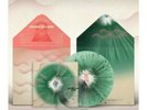 Gruff Rhys - Seeking New Gods Dinked Coloured Vinyl + Flexi Disc + SIGNED Print