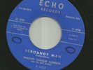 SURF ROCKABILLY INSTROS- WALKIN CHARLIE ALDRICH - HOT SAKE -HEAR - 1961 ECHO