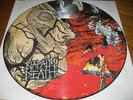 Napalm Death-Harmony corruption Picture Disc, Earache UK 1990, rar, very good