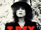 T.Rex THE SLIDER (DEMREC636) 180g LIMITED Demon Records NEW CLEAR VINYL LP