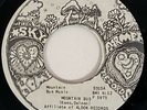 SKY FARMER Mountain Bus / Boscobel Country Private Country Rock Hippie 45 HEAR