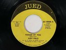 JUDY PALO Fooled by You Jued Private Florida Surf Garage Fuzz VG++ 45 HEAR