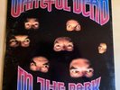 GRATEFUL DEAD - IN THE DARK - ARISTA RECORDS LP - AL-8452 - 1987