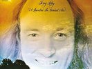 Riley, Terry-A Rainbow In Curved Air (1LP Coloured) VINYL NEW