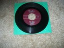 TITTYSHAKER INSTRO-ORCHIDS-GOOD GULLY -HEAR IT