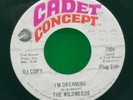 The Wildweeds I'm Dreaming / Happiness is Just an Illusion 7