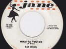 Rockabilly 45 - RAY WILLIS - Whatta You Do / Patricia Darling