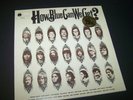 HOW BLUE CAN WE GET Gatefold Double LP & 6 Page Booklet 25 SONGS NEAR MINT 1970