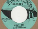 Dave Curtiss And The Tremors How I Cry Karate 45-514 Soul Northern Motown