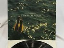 Hans Joachim Roedelius LP Vinyl German Import Durch Die Wuste Electronic