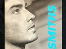 The Smiths -  Panic Vinyl 7