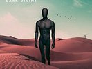 Like Moths To Flames-Dark Divine VINYL NEW