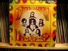 Dread Zeppelin / Un -Led-Ed / Reggae Versions Of Led Zeppelin - Cool Lp On IRS