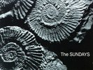 ID11128z-The Sundays-Reading Writing And-Rough 148-vinyl LP-uk-m12s11