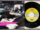 NIRVANA + FLUID 'Molly's Lips' orig.1991 live Sub Pop 7