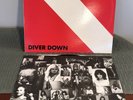 Vintage 1982 VAN HALEN - DIVER DOWN Vinyl Record LP 33 RPM First Pressing